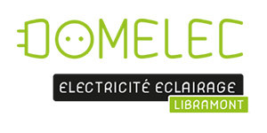 Domelec